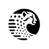 zodiac icon
